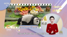 欧美最顶级的aⅴ艳星